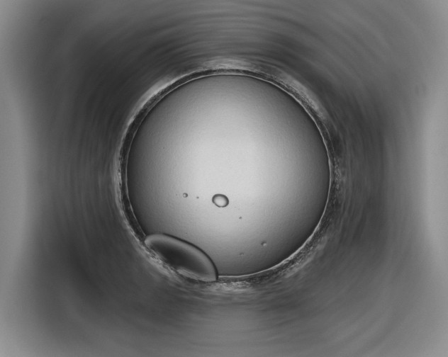 X0000116511133200912161333