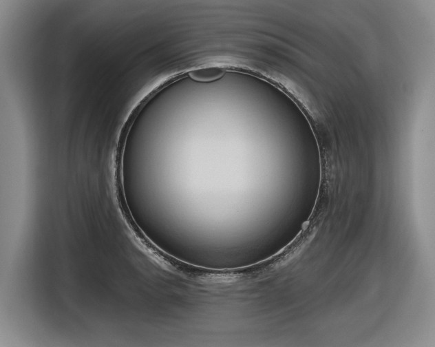 X0000116511134200912161333