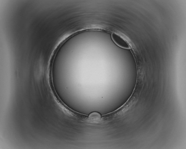 X0000116511135200912161333