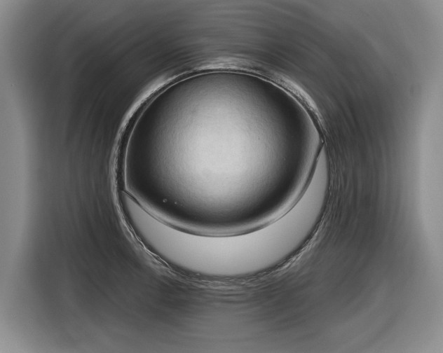 X0000116511138200912161333