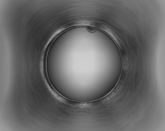 X0000116511139200912161333