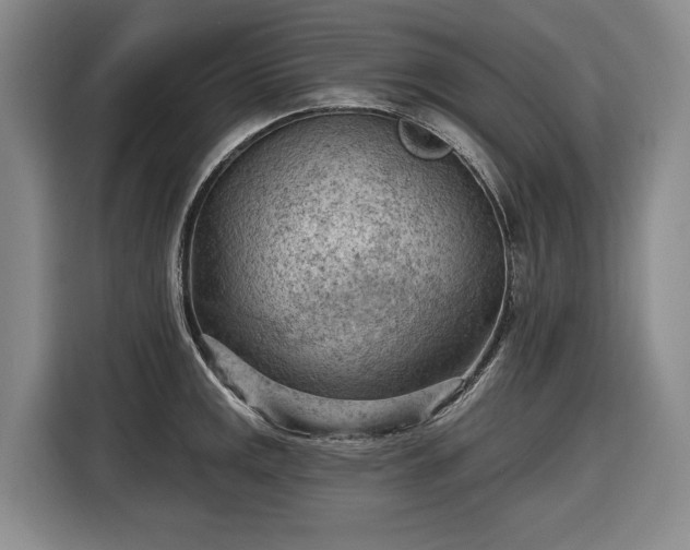 X0000116511141200912161333