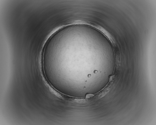 X0000116511142200912161333