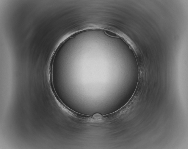 X0000116511143200912161333