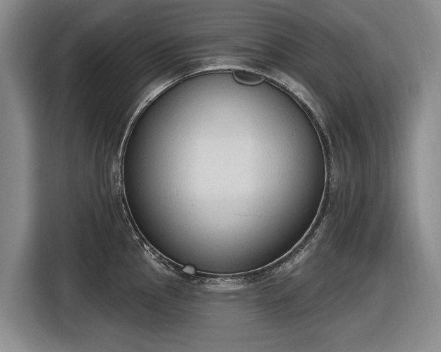 X0000116511145200912161333