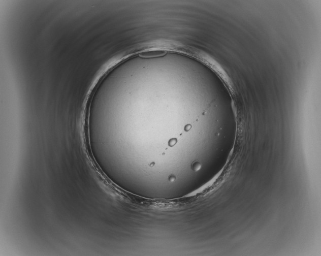 X0000116511146200912161333