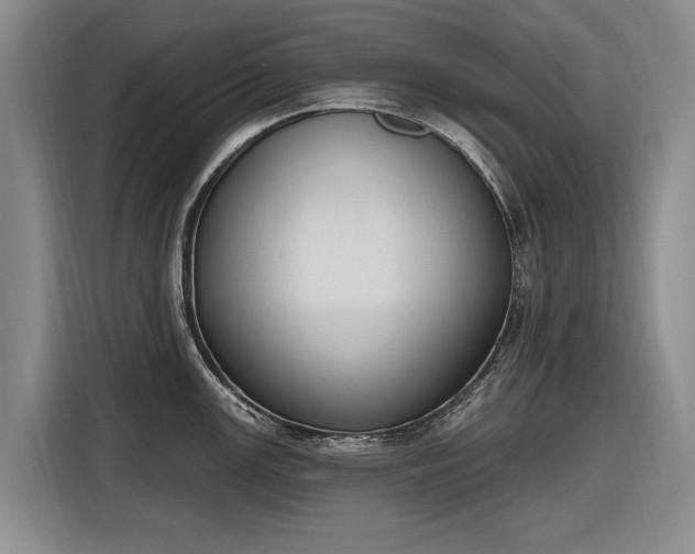 X0000116511147200912161333