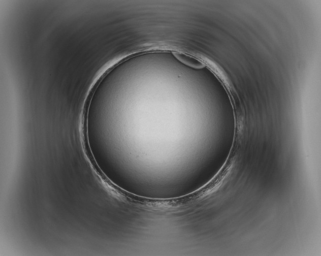 X0000116511149200912161333