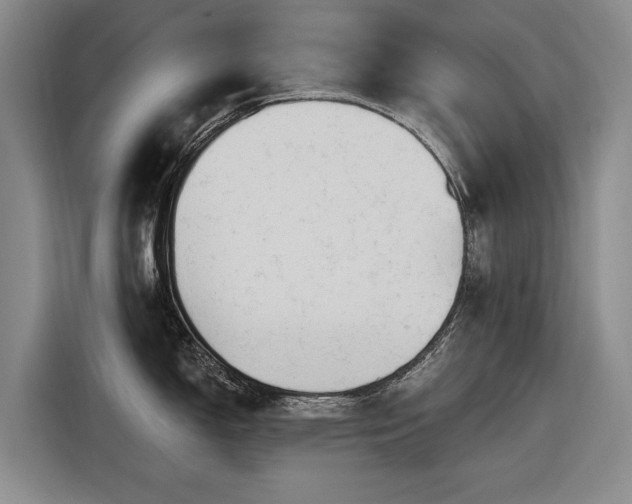 X0000116511150200912161333