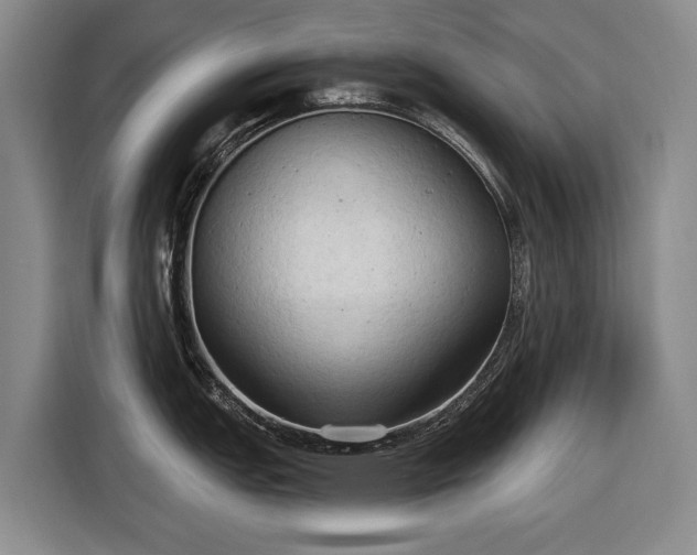 X0000116511151200912161333