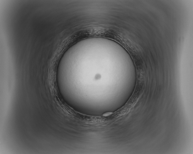 X0000116511153200912161333