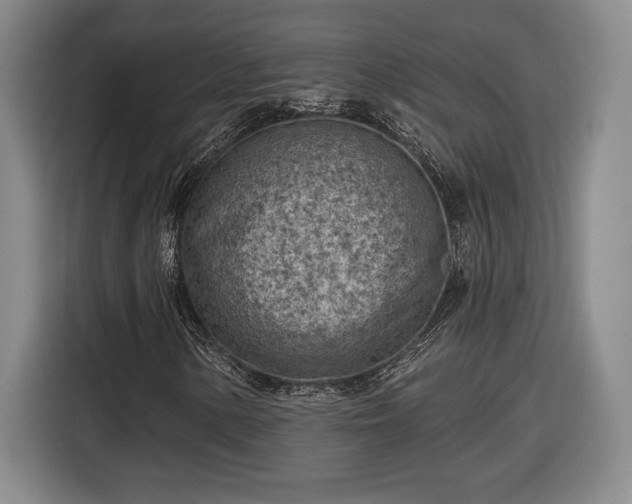 X0000116511154200912161333