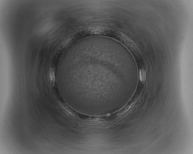 X0000116511155200912161333