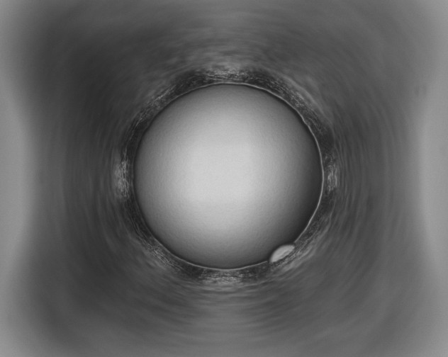 X0000116511156200912161333