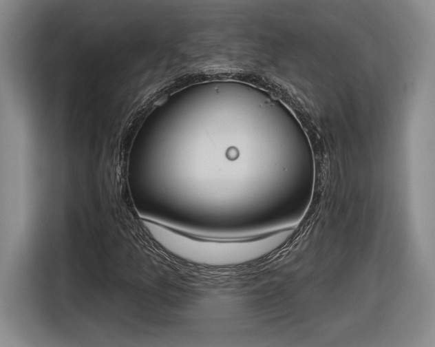 X0000116511157200912161333