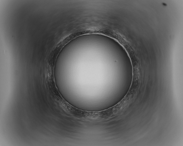 X0000116511158200912161333