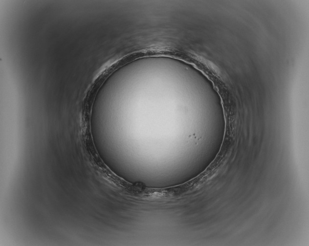 X0000116511160200912161333