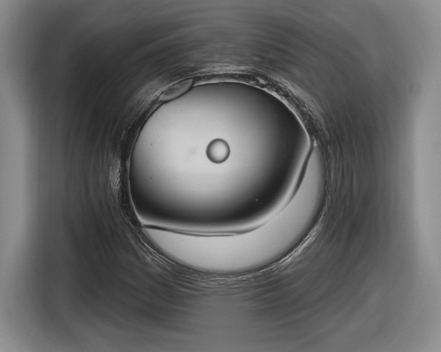 X0000116511161200912161333