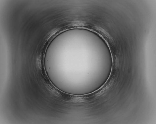 X0000116511162200912161333