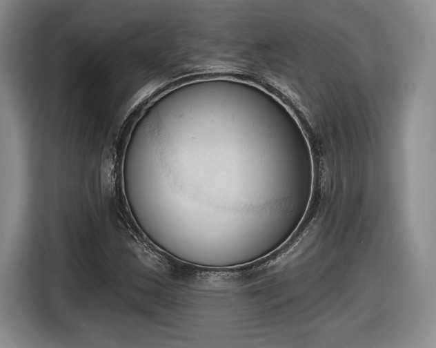 X0000116511163200912161333