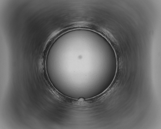 X0000116511164200912161333