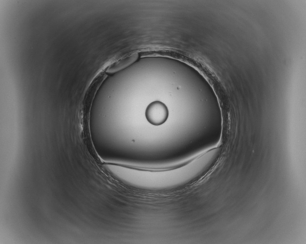 X0000116511165200912161333