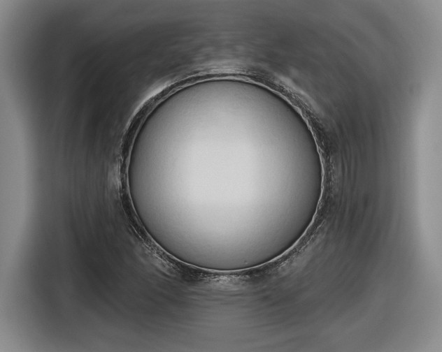 X0000116511166200912161333