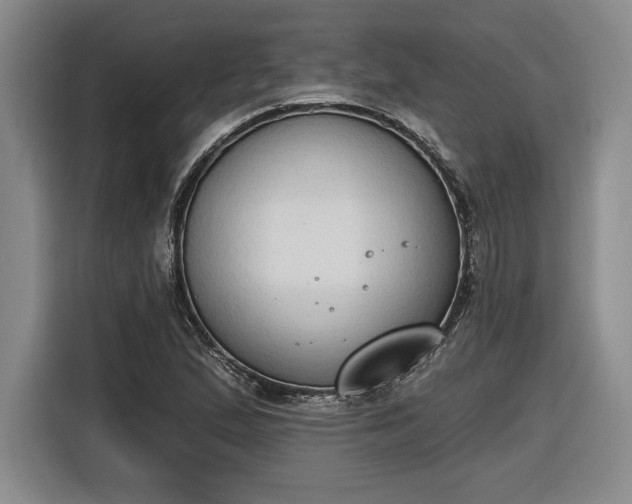 X0000116511167200912161333