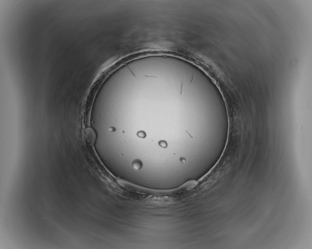 X0000116511168200912161333