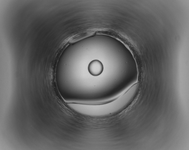 X0000116511169200912161333