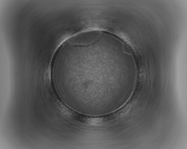 X0000116511173200912161333