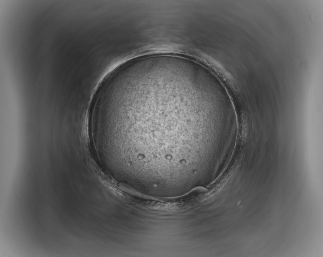 X0000116511174200912161333