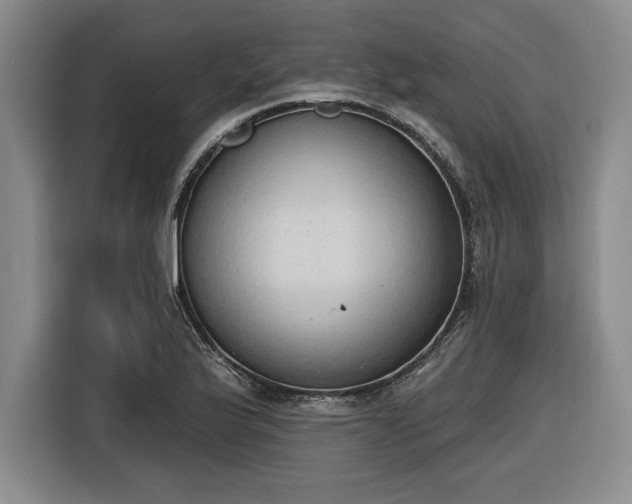 X0000116511175200912161333