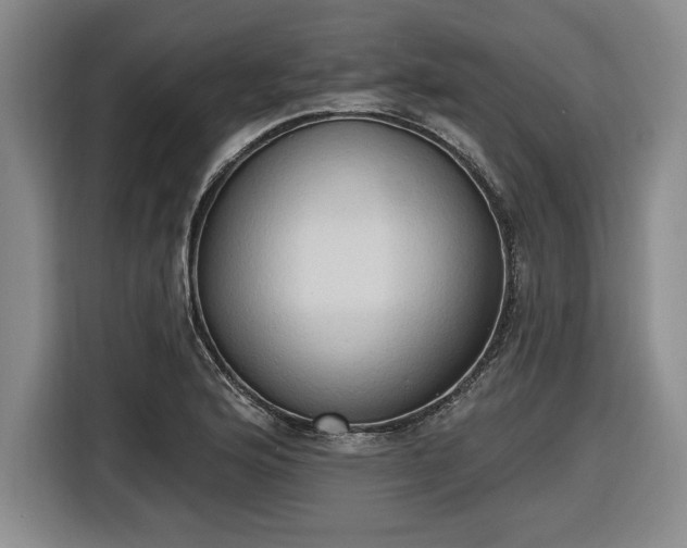 X0000116511176200912161333