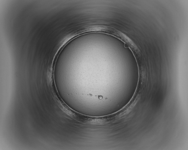 X0000116511178200912161333