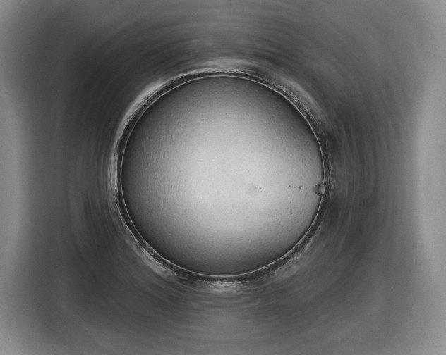 X0000116511180200912161332