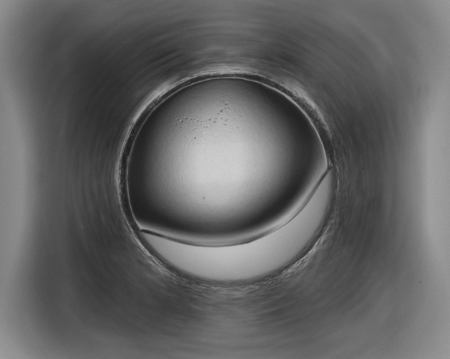 X0000116511181200912161332