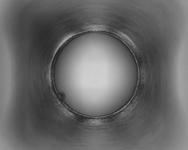 X0000116511182200912161332