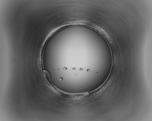 X0000116511184200912161332