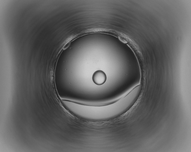 X0000116511185200912161332