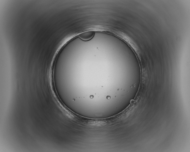 X0000116511187200912161332