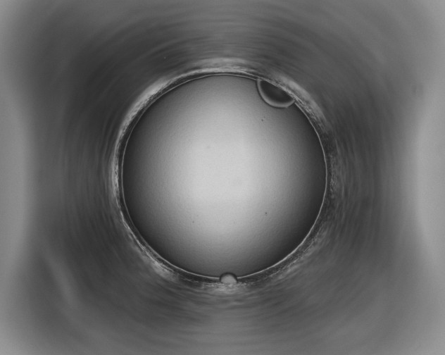 X0000116511188200912161332