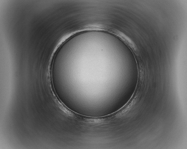 X0000116511192200912161332