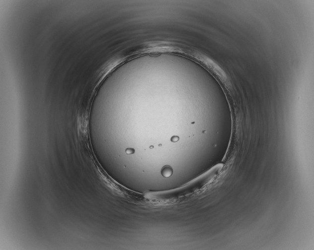 X0000116511193200912161332