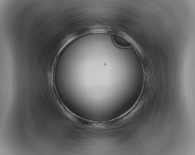 X0000116511194200912161332