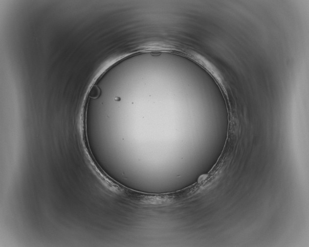 X0000116511195200912161332