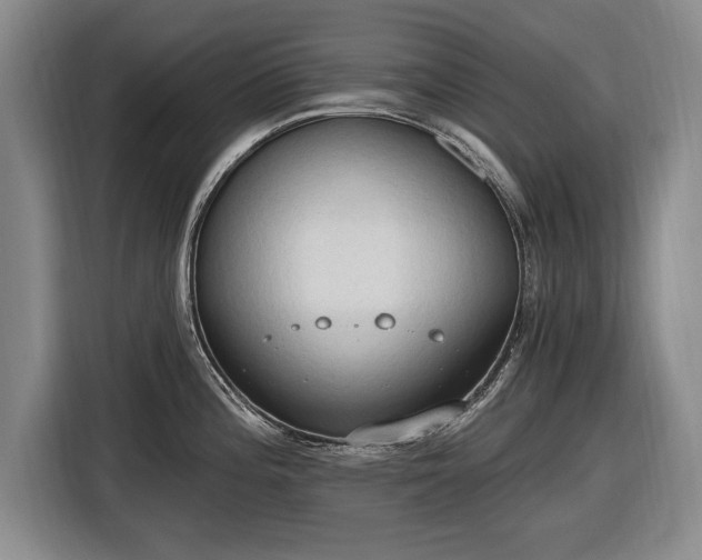 X0000116511196200912161332