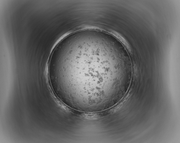 X0000116511198200912161332