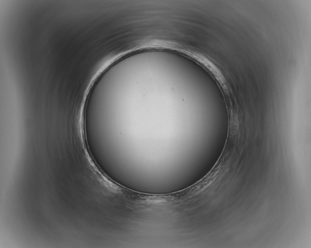 X0000116511199200912161332