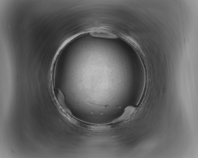 X0000116511200200912161332